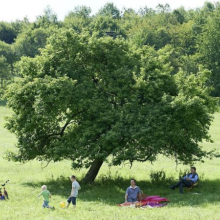 ホテル Loesch Fuer Freunde ホルンバッハ エクステリア 写真